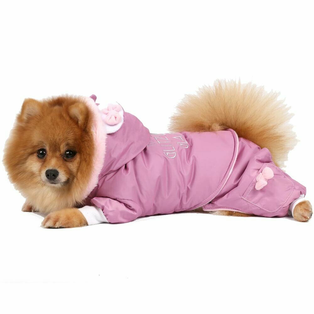 Pink dog coat for pampered dog