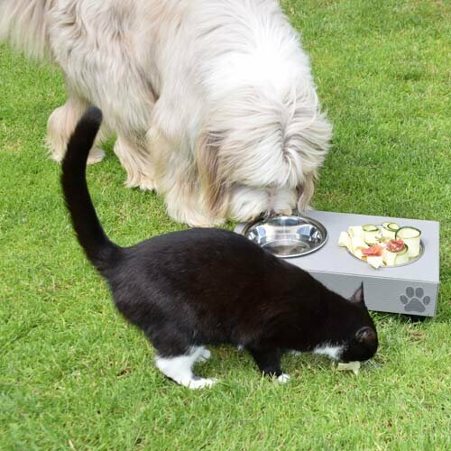 Feeder for dogs and cats