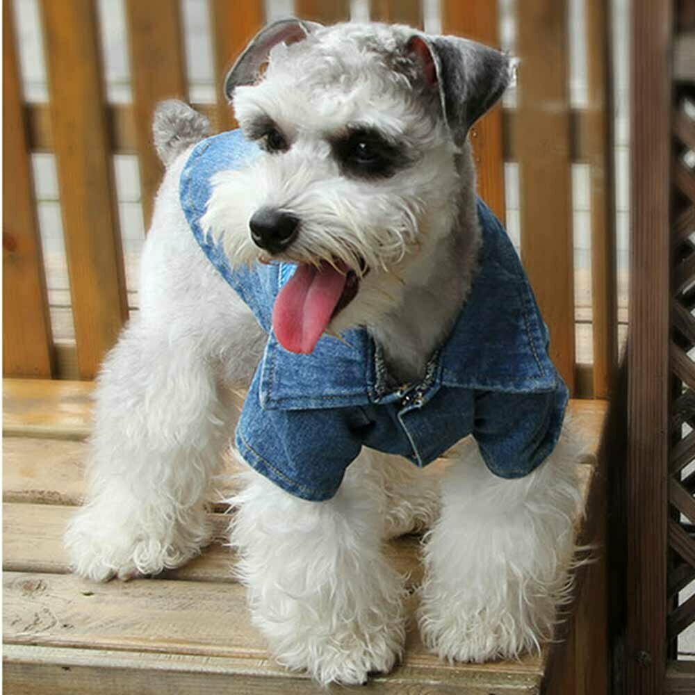 Jeans jacket dog clothes