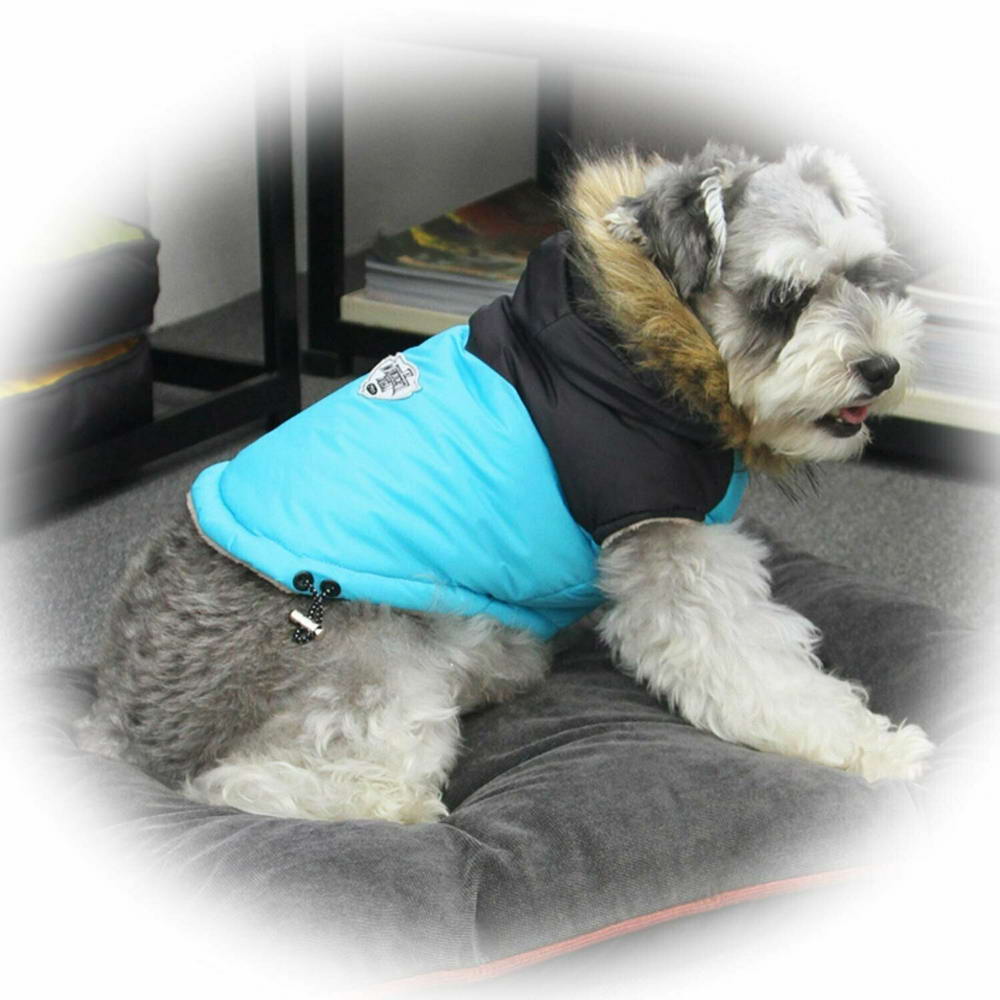 Dog Parker blue with hoodie
