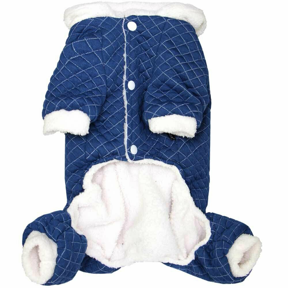 Warm dog clothes with bunny ears blue