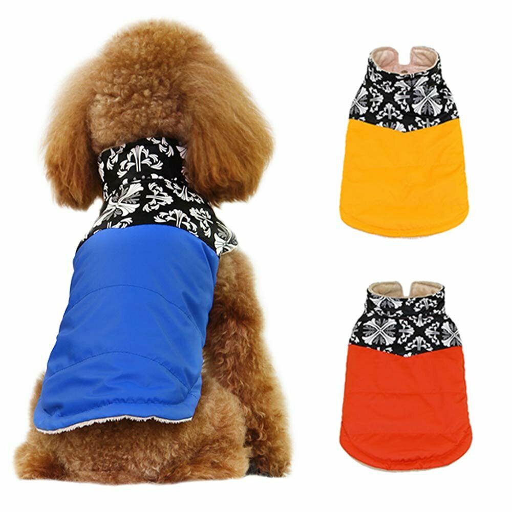 Warm dog clothes by GogiPet for modern dogs