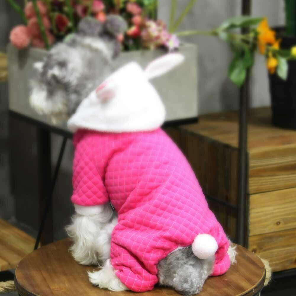 Blue bunny dog clothing by GogiPet