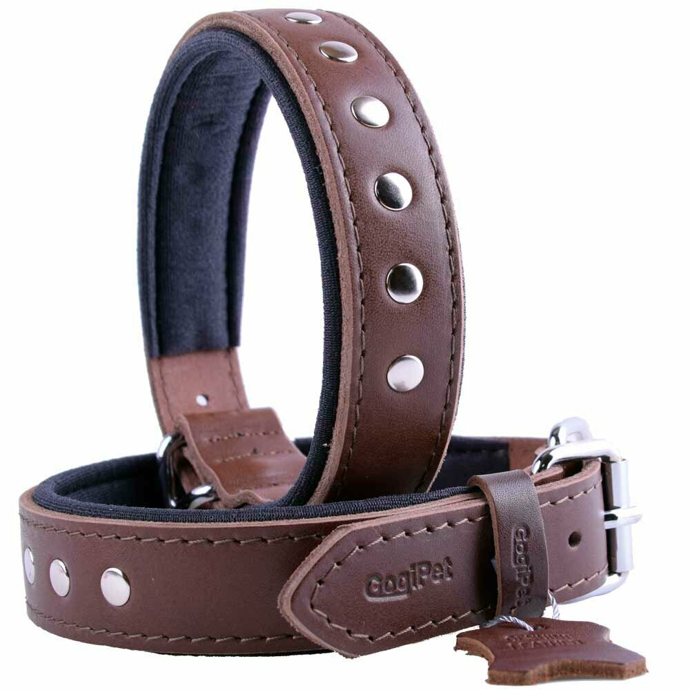 Leather dog collar brown with flat rivets