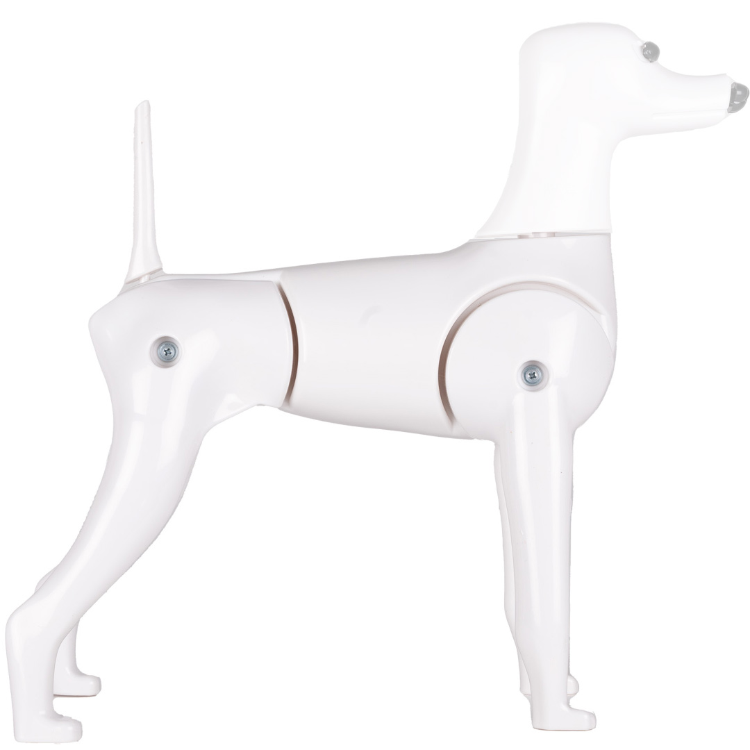 Model Dog - Exercise Dog Body