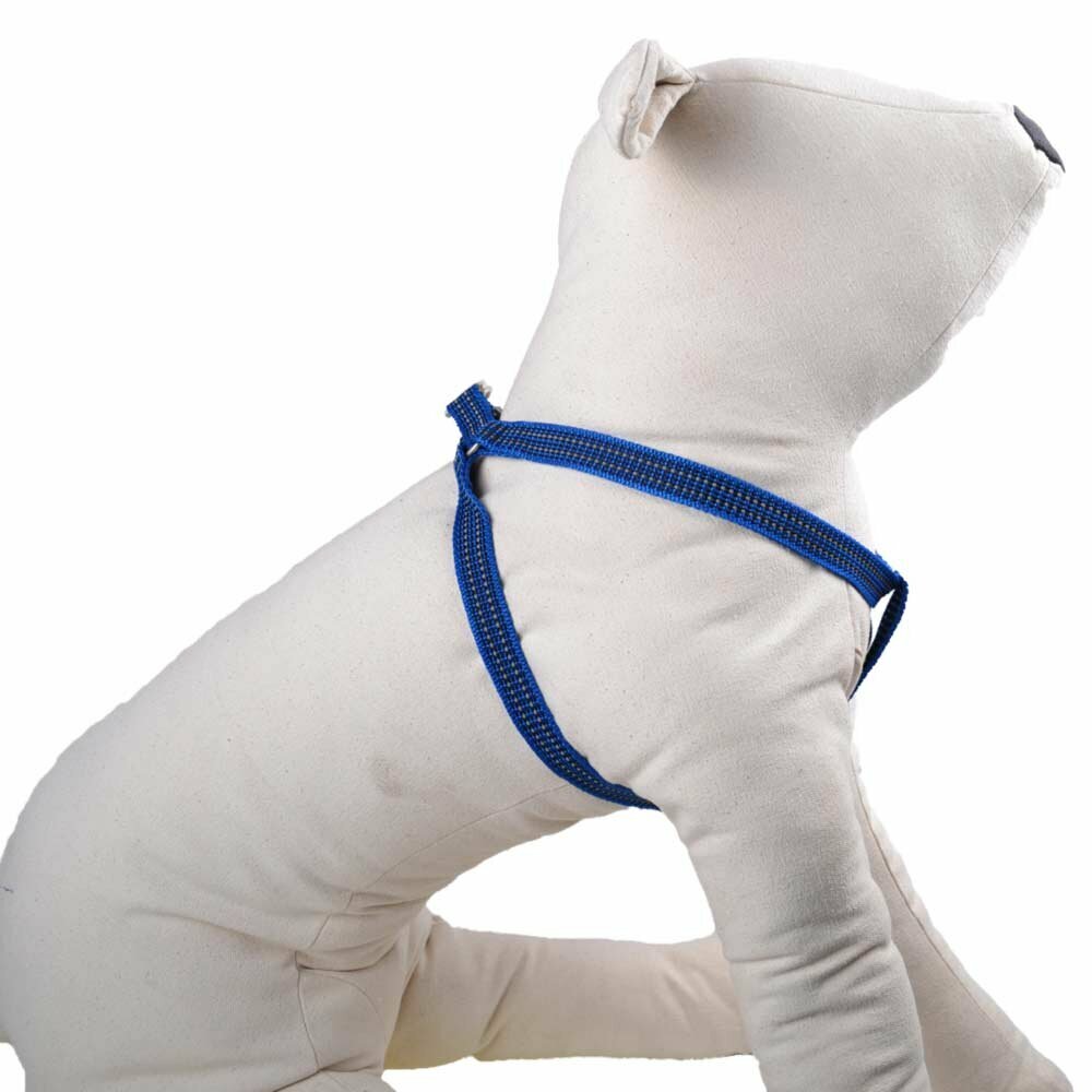 Blue dog harness with reflective seams