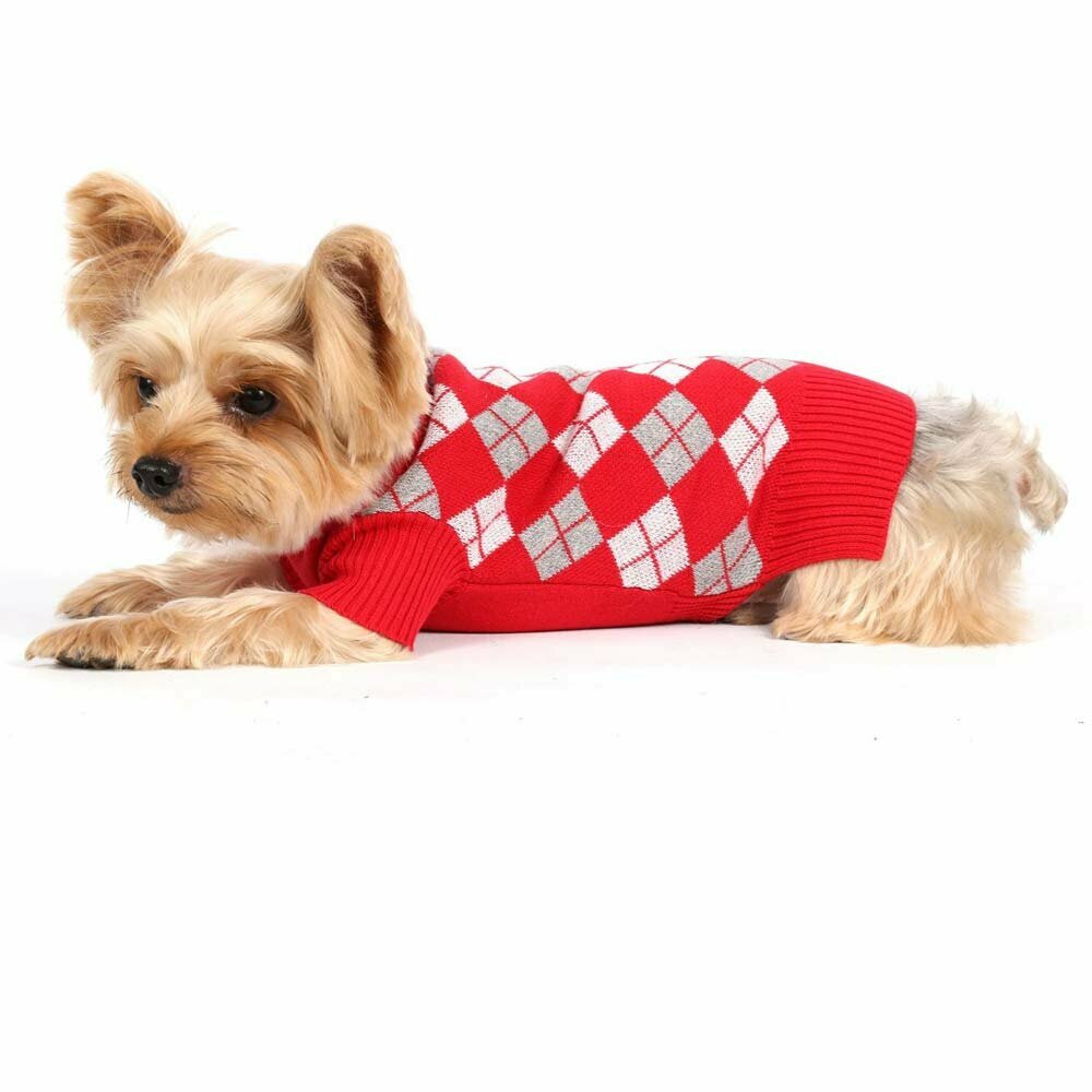 Red checker dog sweater by DoggyDolly