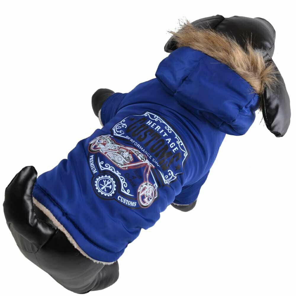 Warm anorak for dogs - dog clothes blue