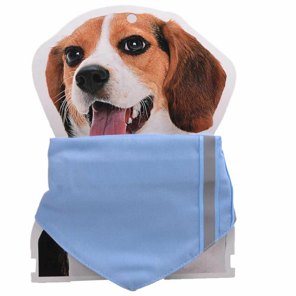 Light blue collar with reflective stripes and kerchief