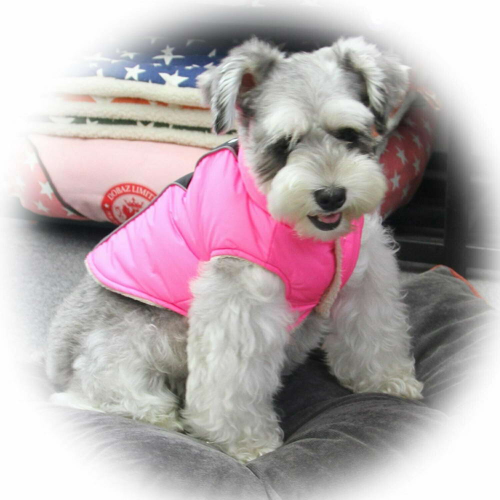 Pink dog jacket warm lined for the winter