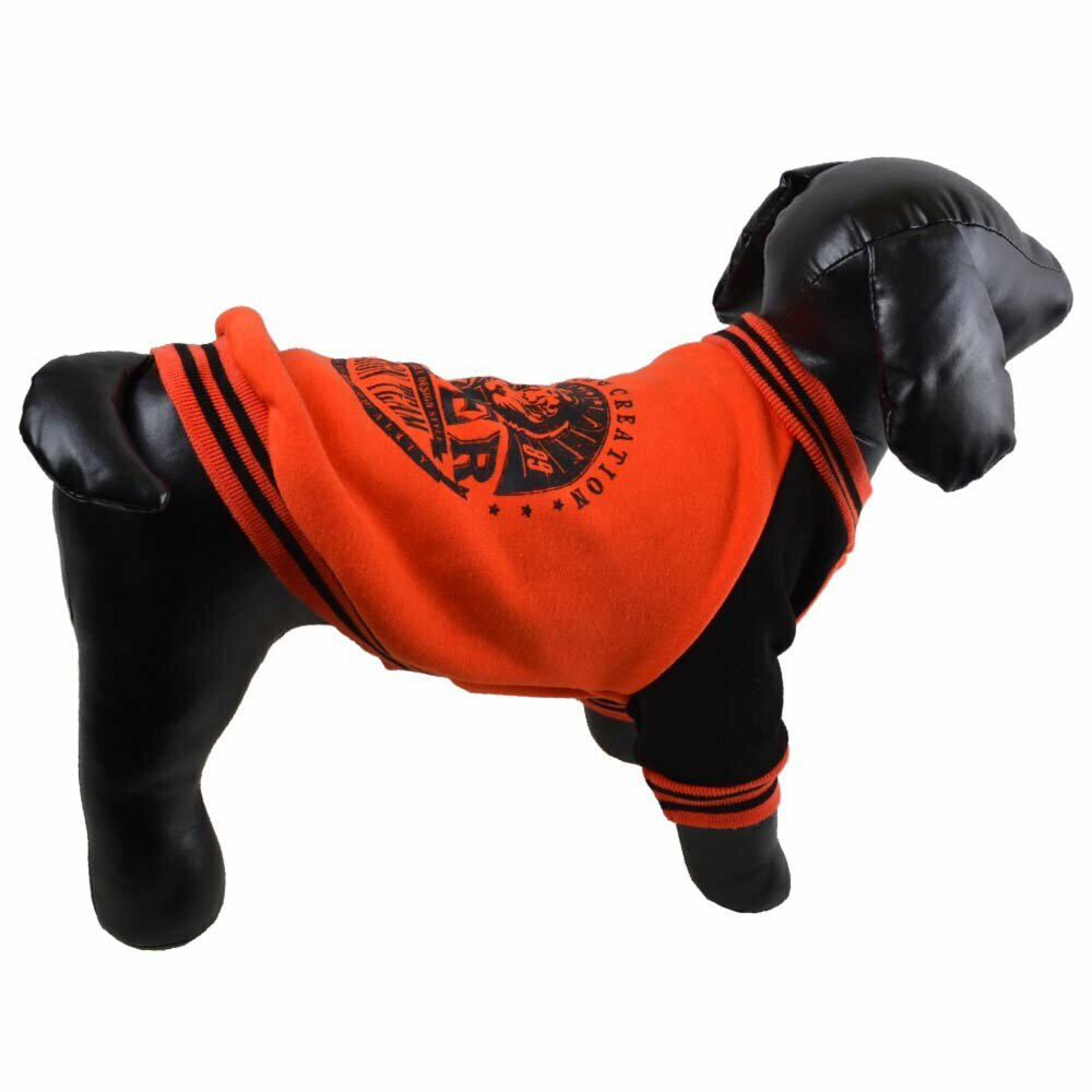 Warm dog pullover by GogiPet orange