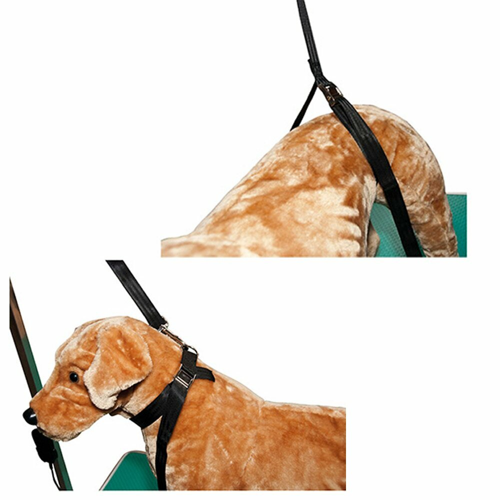 Noose for dogs - grooming table