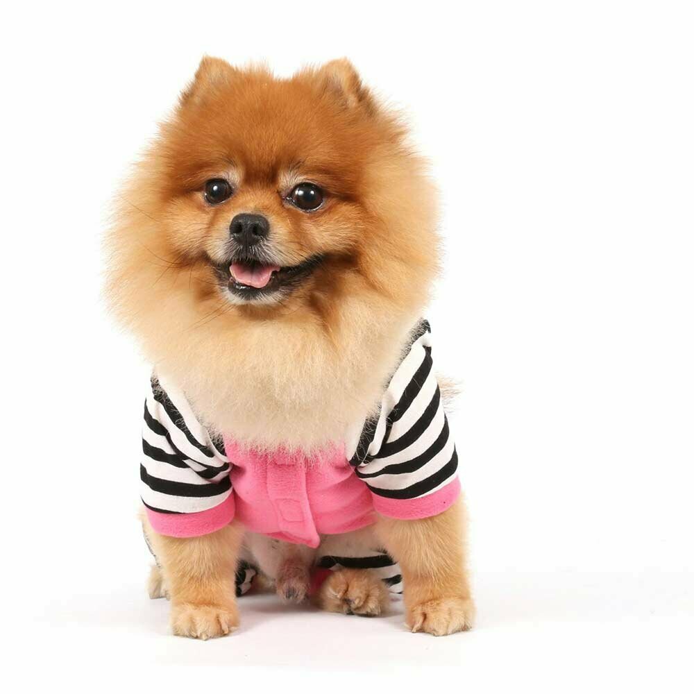 Pink overall for dogs