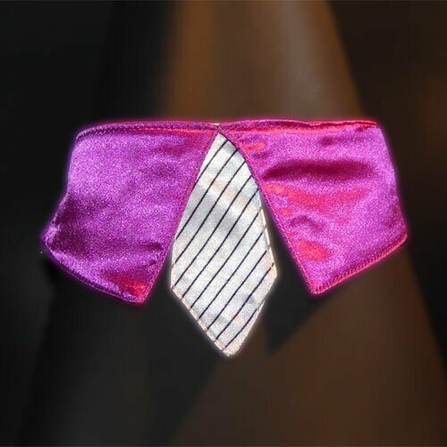 violet collar with white tie for dogs large