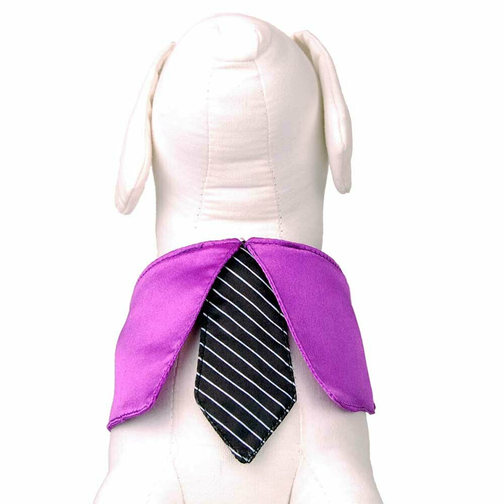 black dog tie with purple collar L GogiPet ®  
