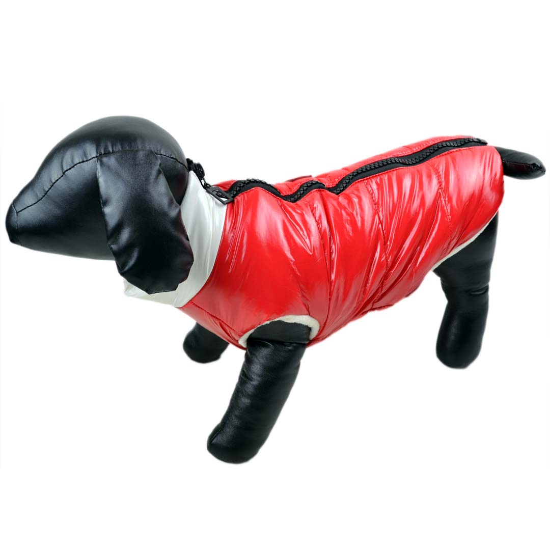 especially warm dog anorak for snow and ice