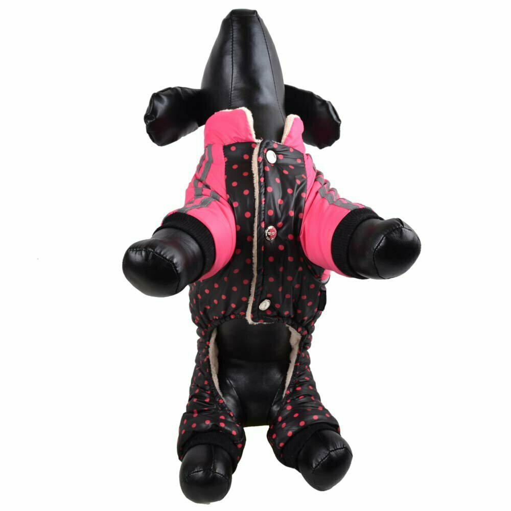 High quality dog clothing from GogiPet