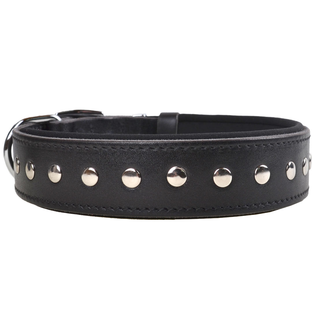 Beautiful, black genuine leather dog collar with chrome studs