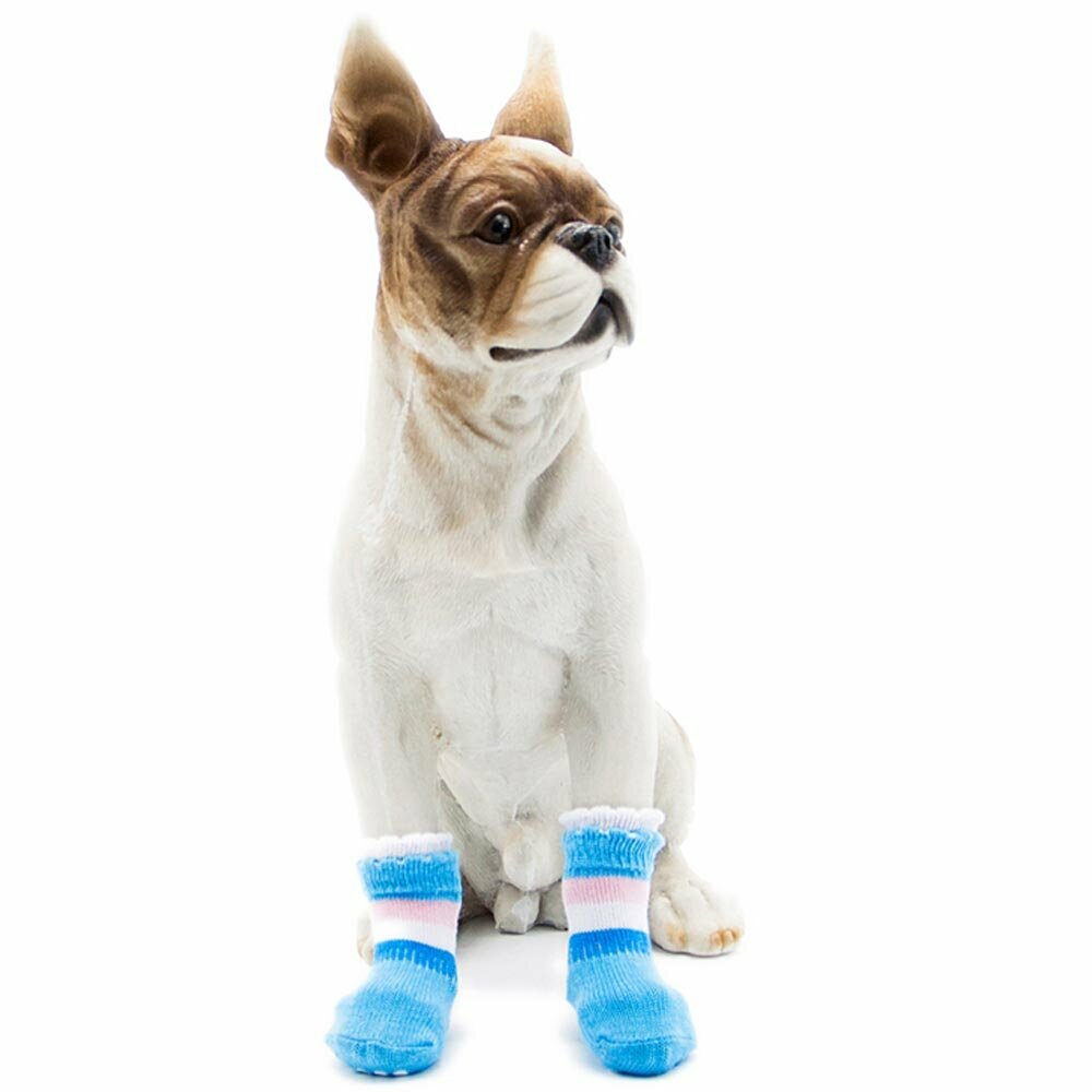 Dog socks blue- dog wool gaiter