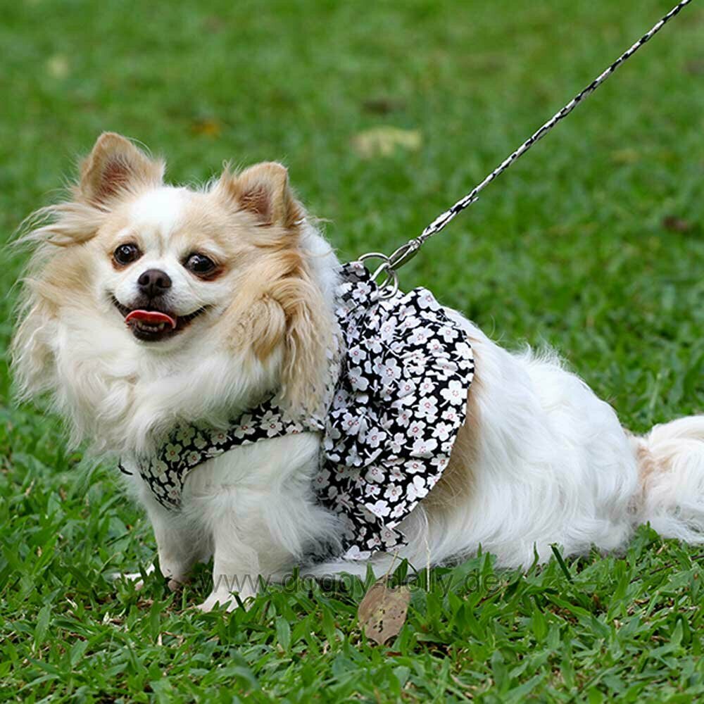Breast Harness for Dogs by DoggyDolly DCL056
