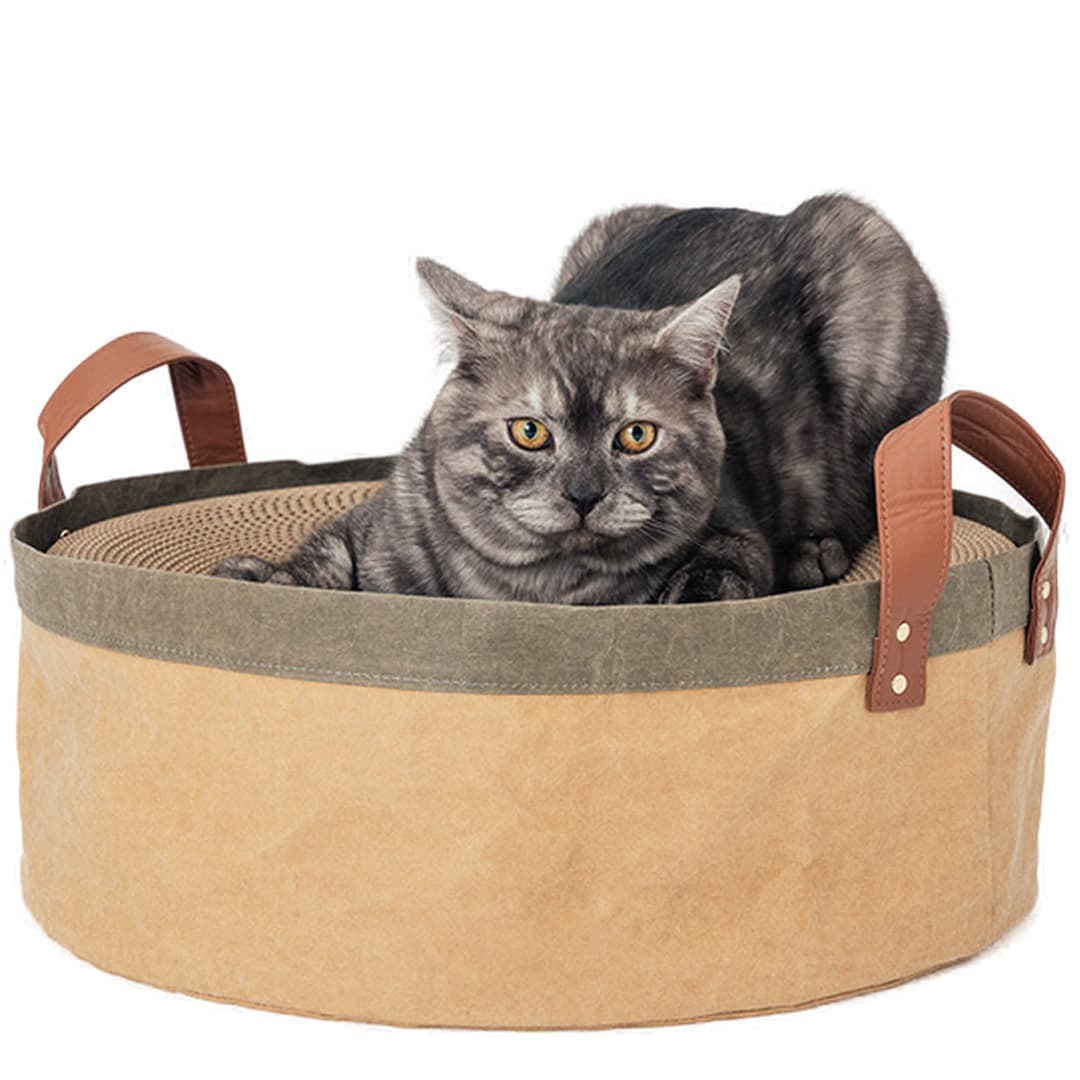 Sand Dune Cat Scratching Bed - with scratching board