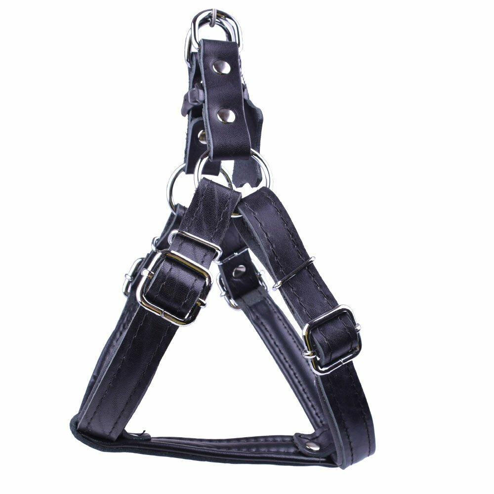 Genuine leather dog harness in black