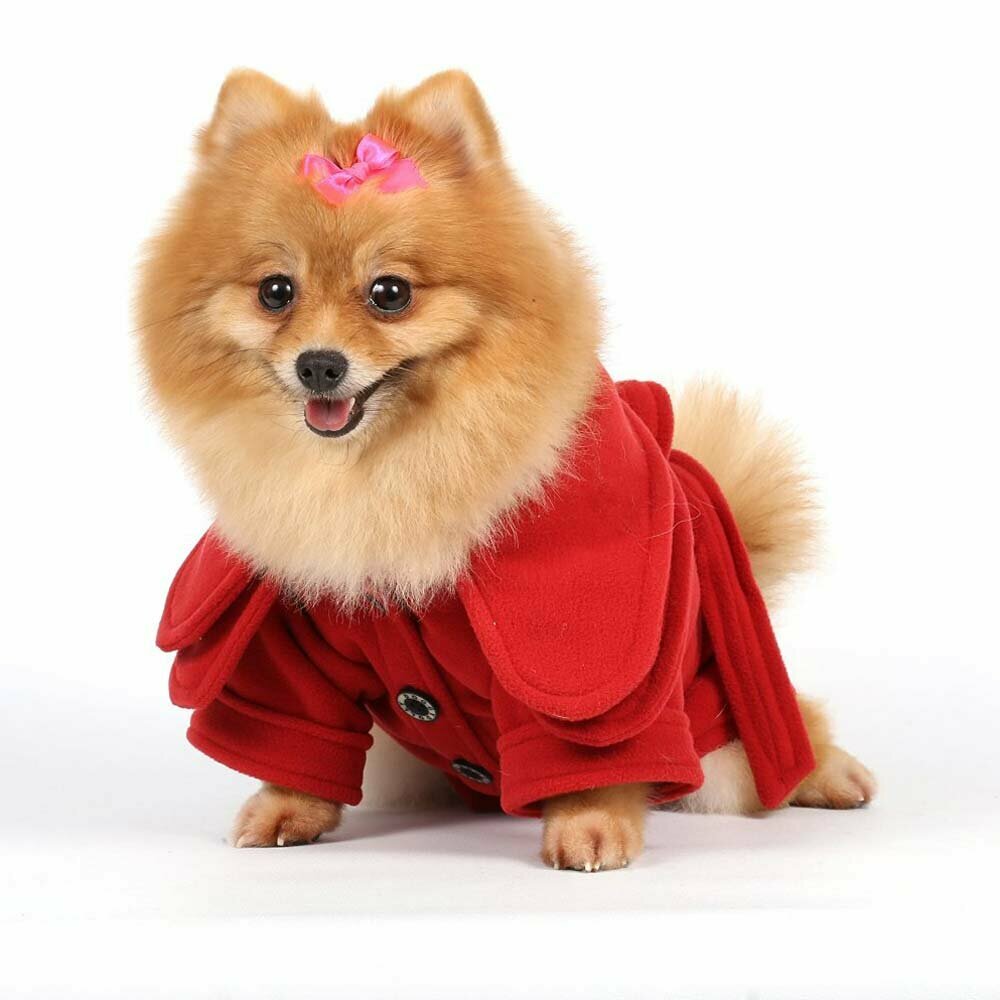 Red coat for dogs from warm fleece - Warm dog gown at Onlinezoo