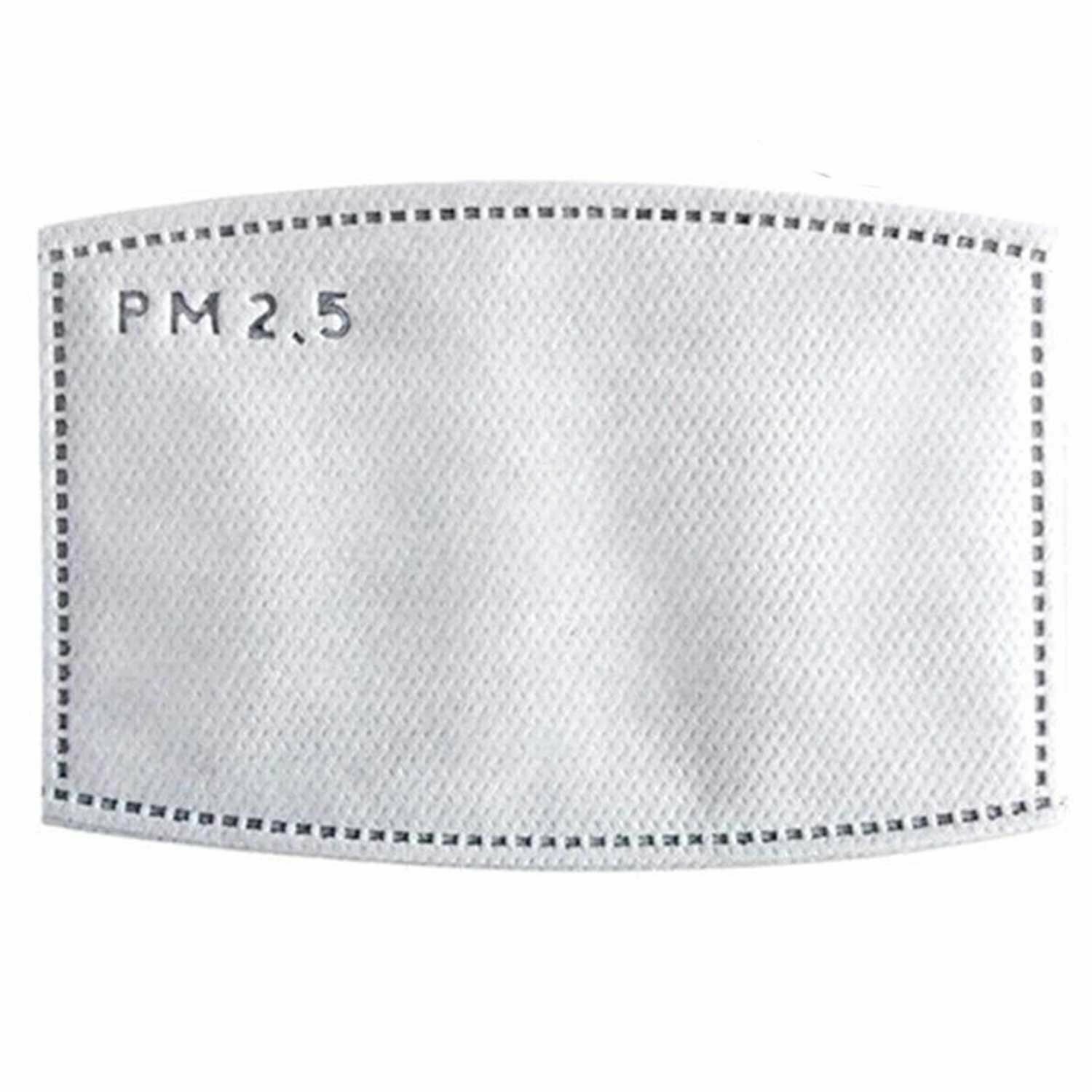 Dust mask with active filter
