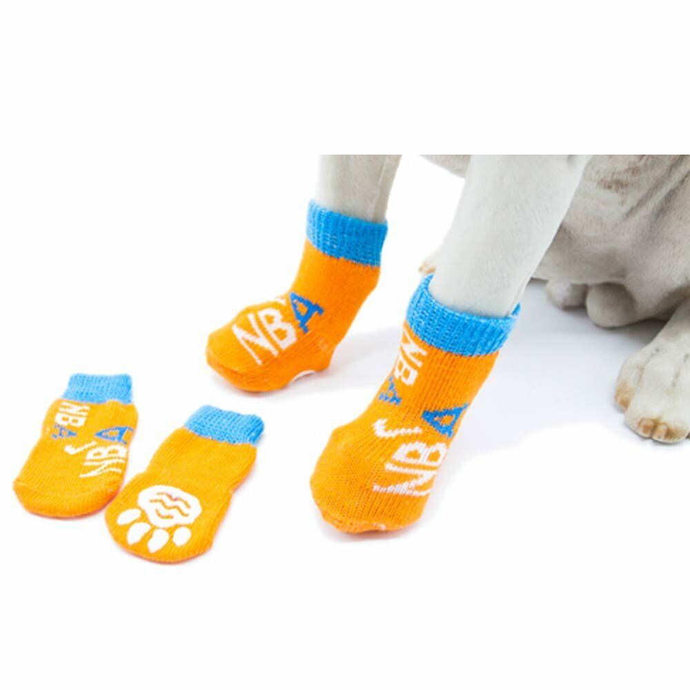 Orange NBA  sportsocks for dogs in 4 pack with anti-slip coating