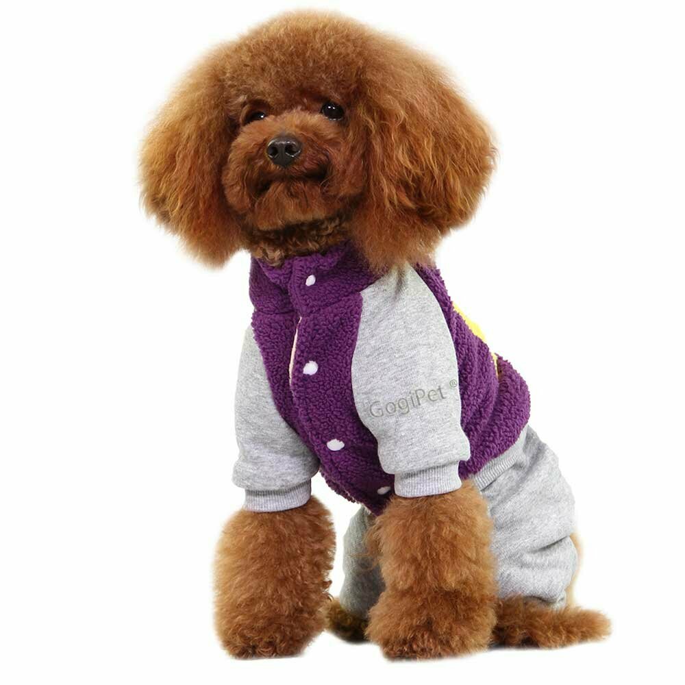 Fluffy dog jogger 08 Lila - hot dog clothes by GogiPet®
