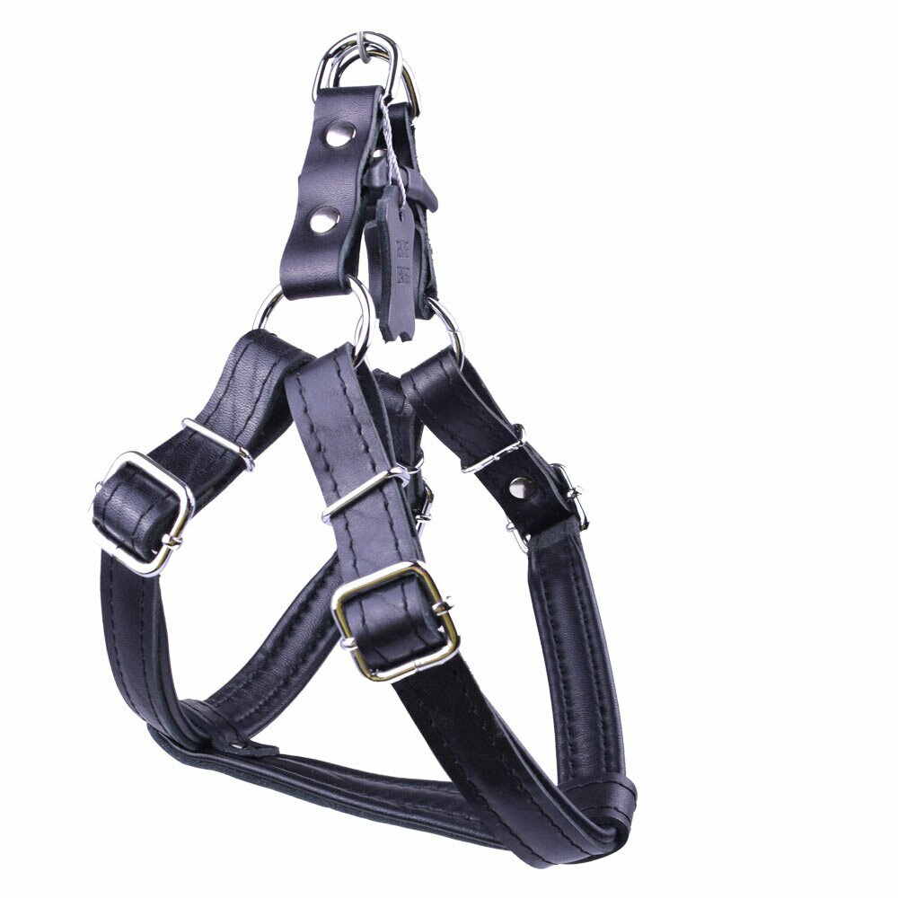 Dog harness black - extra soft dog harness