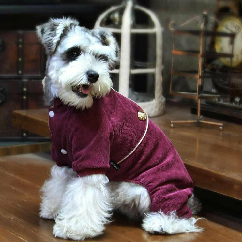 Very classy dog clothing made of red cord