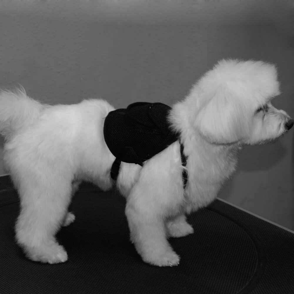 Harness with Leash the dogs in harness dog backpack Design