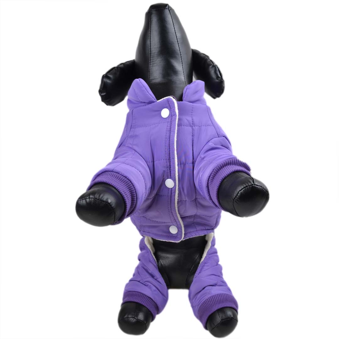 Purple Dog Coat for Winter