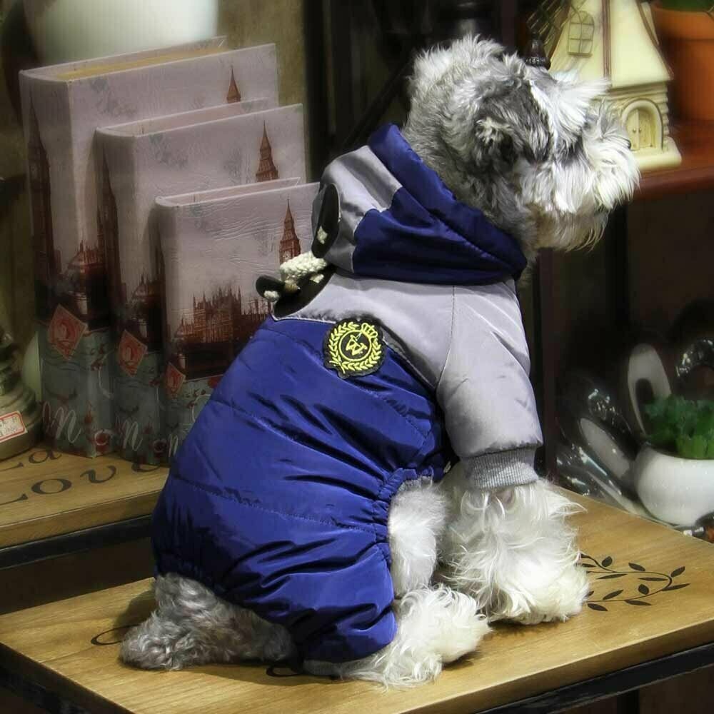Dog coat "Jacqueline" Blue