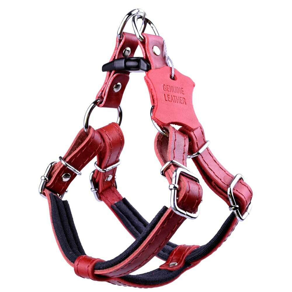 Leather breast harness red with soft lining from GogiPet