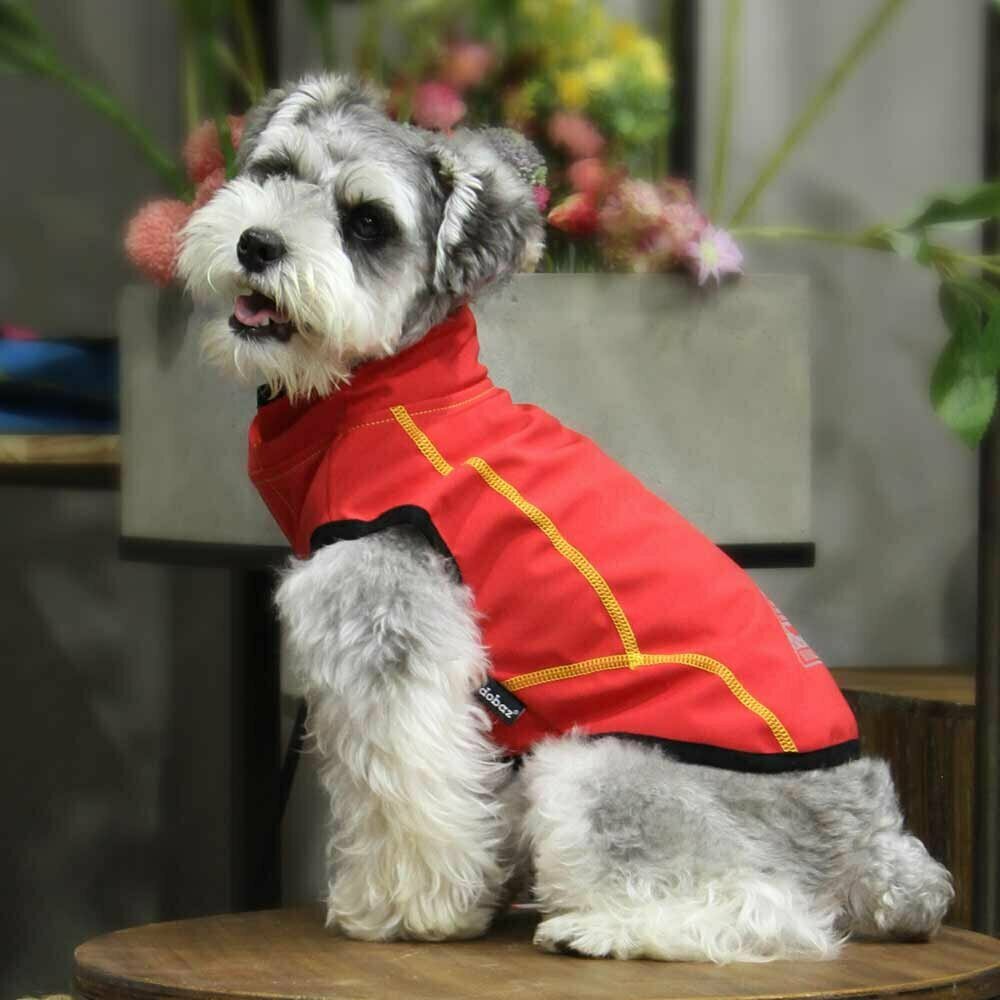Red dog raincoat by GogiPet