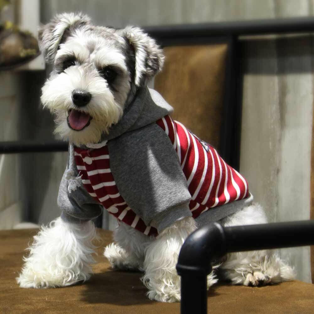 Dog jacket for winter red white striped