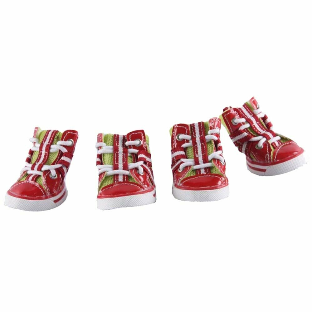 Red White Red dog shoes Austria