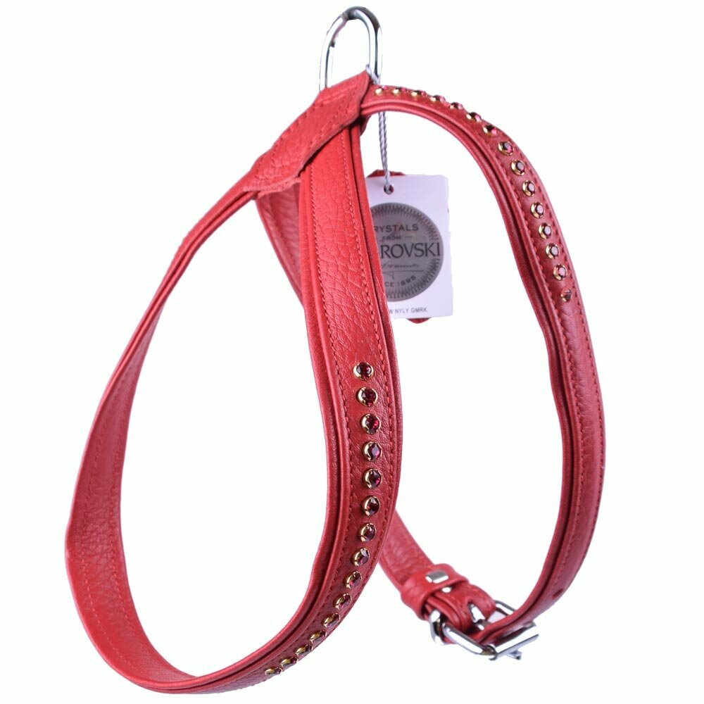 Swarovski ruby dog harness