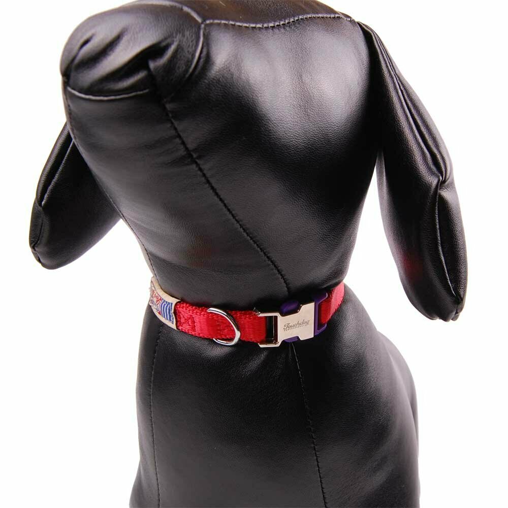 High-quality, Red Premium dog collar nylon leash