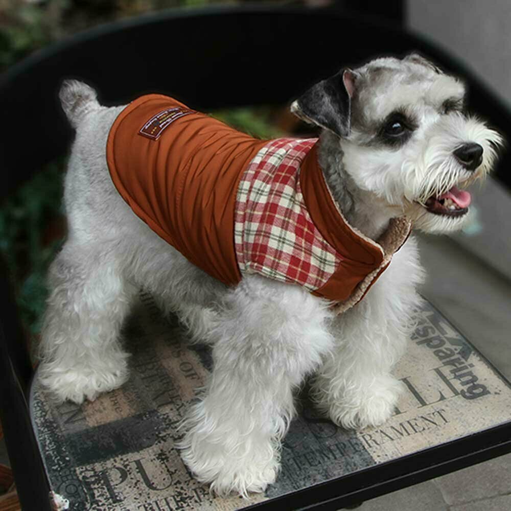 Warm brown winter jacket for dogs