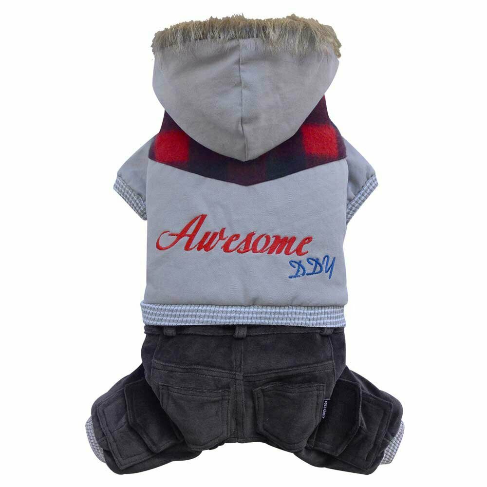 warm dog clothes Grey dog coat with hood and dog pants by DoggyDolly for dogs fashions Austria