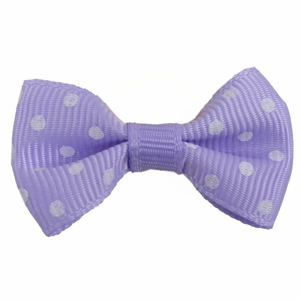Handmade dog bow purple with polka dots by GogiPet
