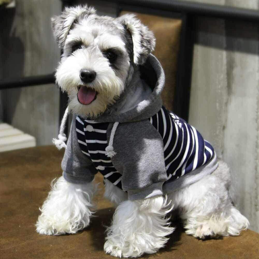 GogiPet dog clothing at low prices