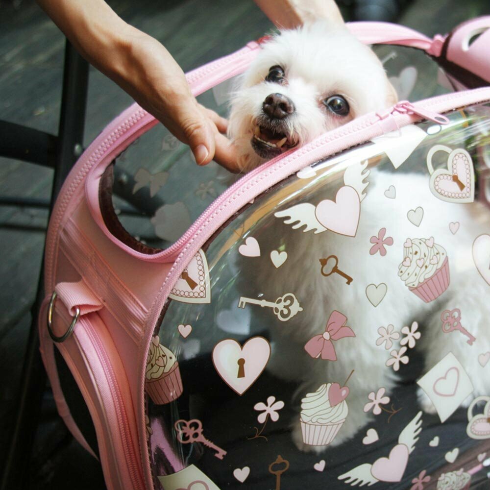 Dog carrier for small pets