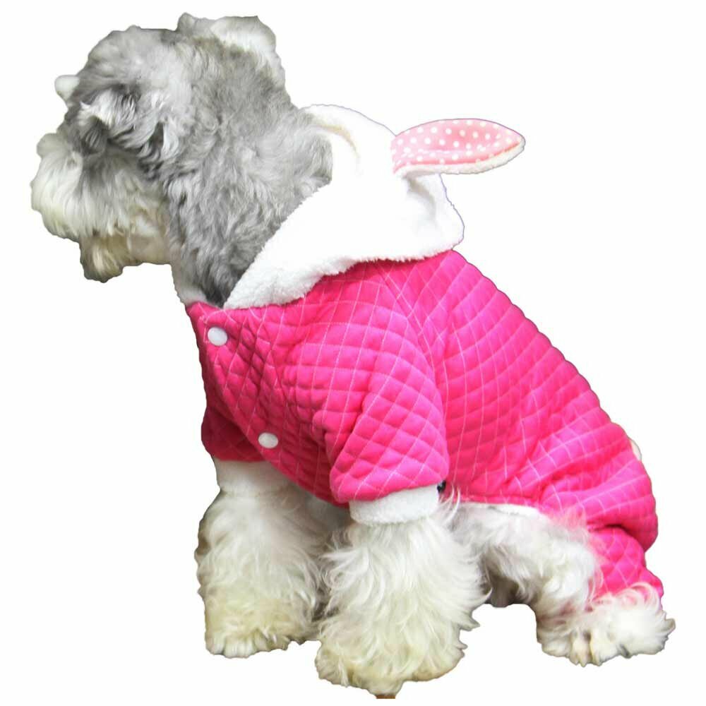 Bunny warm dog clothes for the winter blue