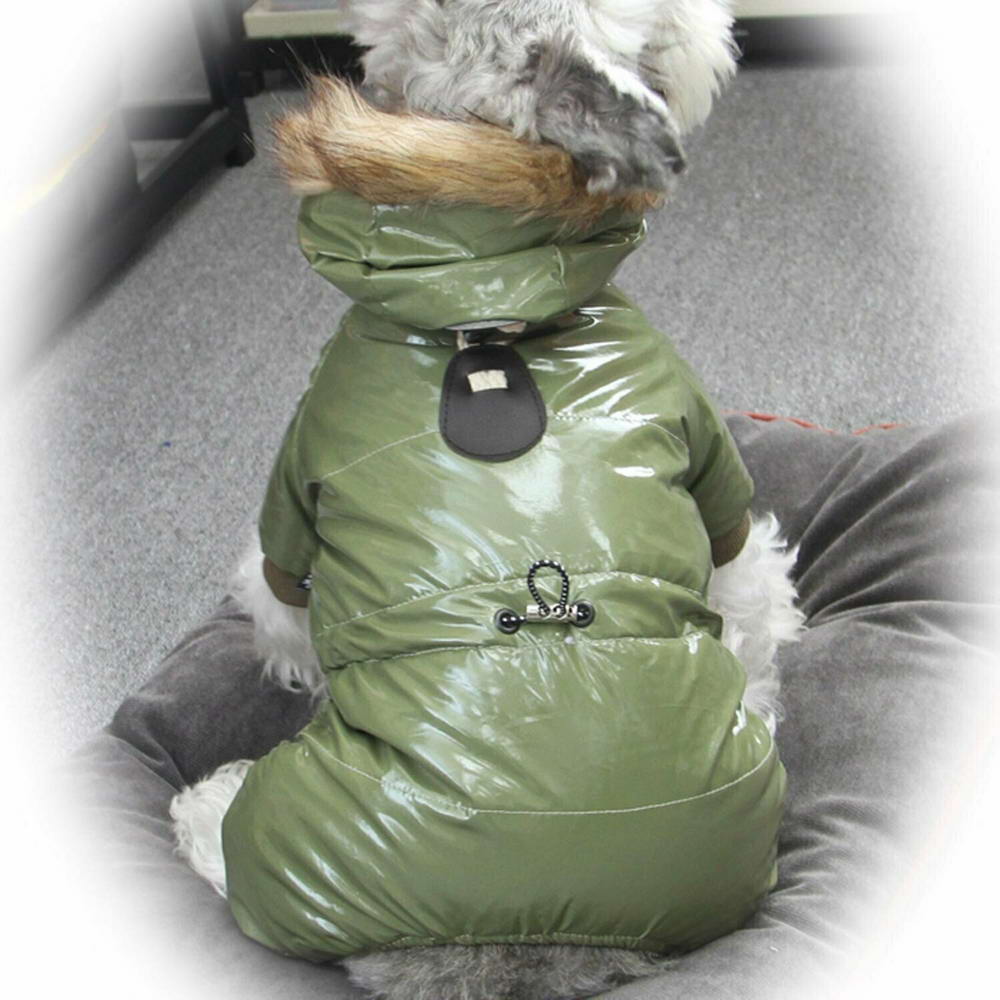 Winter clothing for dogs - warm dog anorak