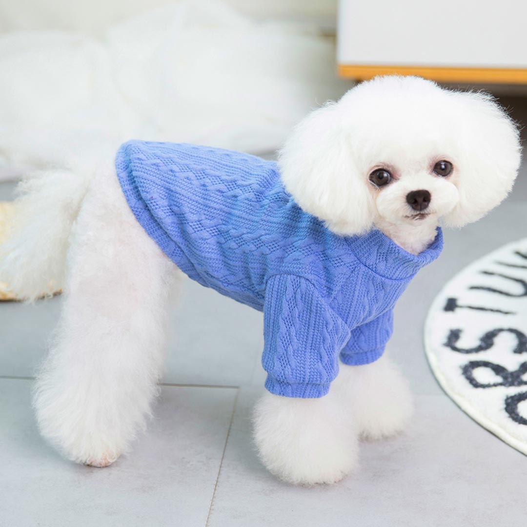 Blue "Love You" Knitted Sweater for Dogs