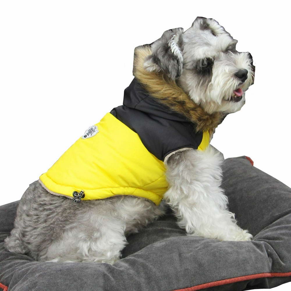 GogiPet dog clothing for the winter
